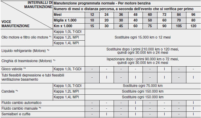 Manutenzione programmata normale - Per motore benzina